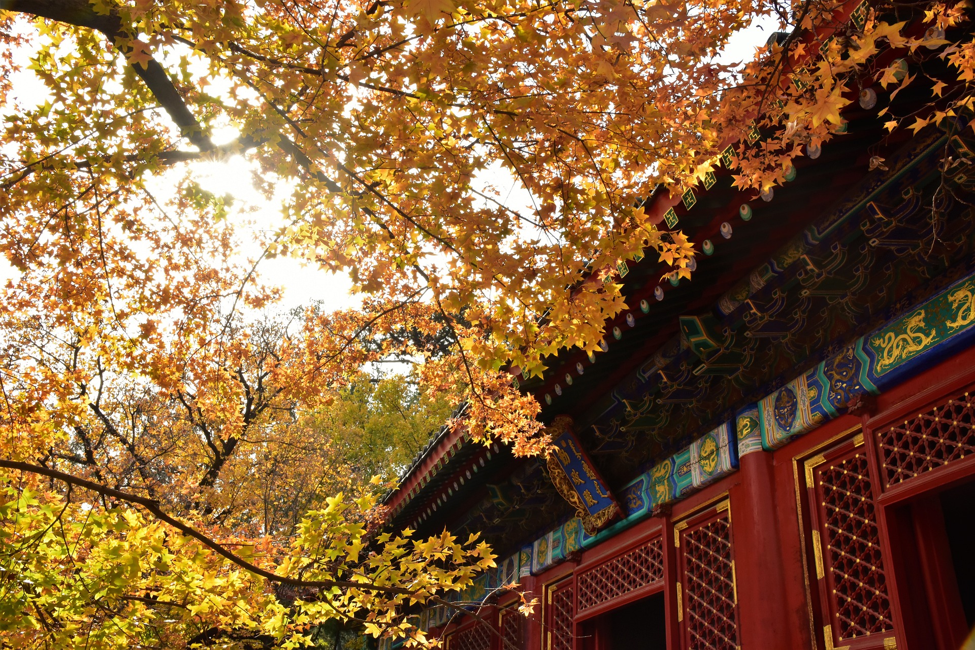 香山公园